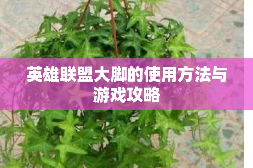英雄联盟大脚的使用方法与游戏攻略图片