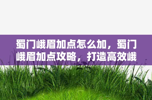 蜀门峨眉加点怎么加，蜀门峨眉加点攻略，打造高效峨眉，提升战斗效率