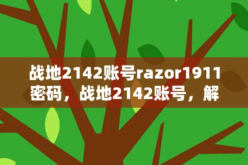 战地2142账号razor1911密码,战地2142账号,解锁未来战场的钥匙 战地2142账号razor1911密码,战地2142账号,解锁未来战场的钥匙