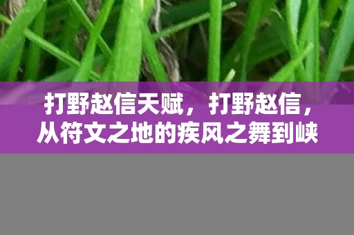 打野赵信天赋,打野赵信,从符文之地的疾风之舞到峡谷之巅的荣耀之路 打野赵信天赋,打野赵信,从符文之地的疾风之舞到峡谷之巅的荣耀之路