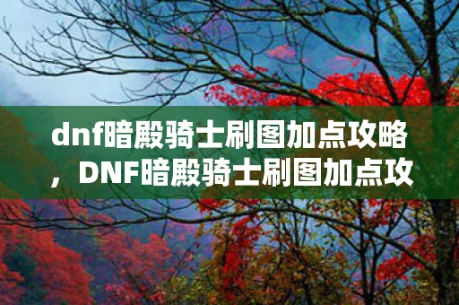 dnf暗殿骑士刷图加点攻略,DNF暗殿骑士刷图加点攻略,打造高效战斗体验 dnf暗殿骑士刷图加点攻略,DNF暗殿骑士刷图加点攻略,打造高效战斗体验
