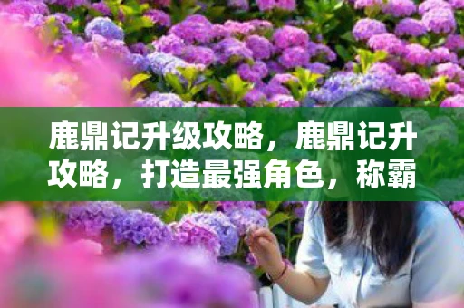 鹿鼎记升级攻略,鹿鼎记升攻略,打造最强角色,称霸江湖! 鹿鼎记升级攻略,鹿鼎记升攻略,打造最强角色,称霸江湖!