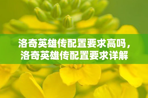 洛奇英雄传配置要求高吗,洛奇英雄传配置要求详解 洛奇英雄传配置要求高吗,洛奇英雄传配置要求详解