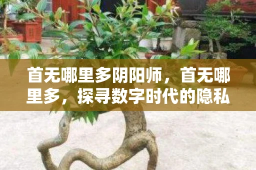 首无哪里多阴阳师,首无哪里多,探寻数字时代的隐私边界 首无哪里多阴阳师,首无哪里多,探寻数字时代的隐私边界