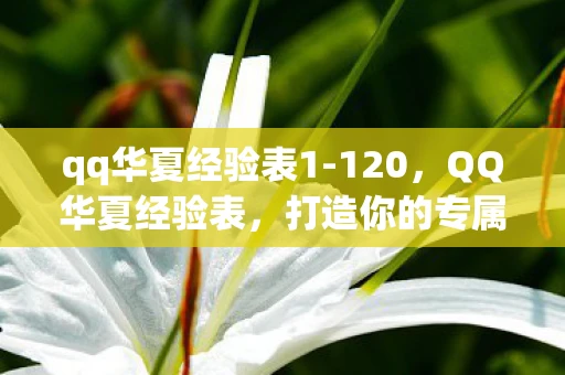 qq华夏经验表1-120,QQ华夏经验表,打造你的专属升级攻略 qq华夏经验表1-120,QQ华夏经验表,打造你的专属升级攻略