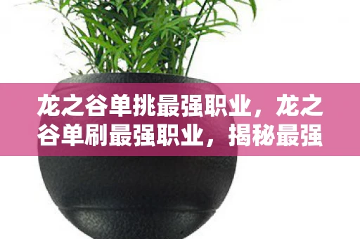 龙之谷单挑最强职业，龙之谷单刷最强职业，揭秘最强势的独行者