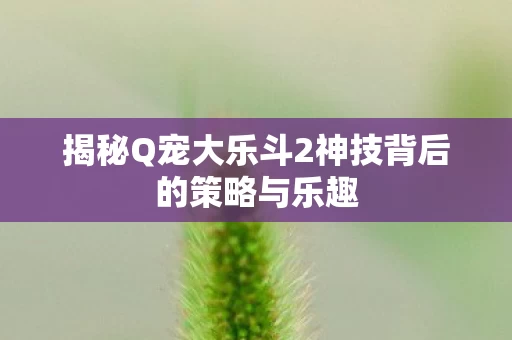 揭秘Q宠大乐斗2神技背后的策略与乐趣图片