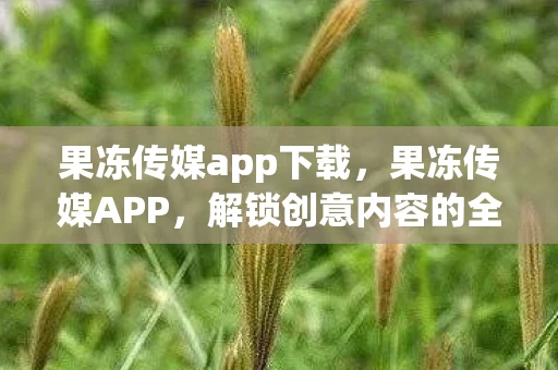 果冻传媒app下载，果冻传媒APP，解锁创意内容的全新方式