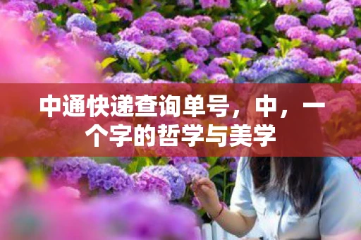中通快递查询单号,中,一个字的哲学与美学 中通快递查询单号,中,一个字的哲学与美学
