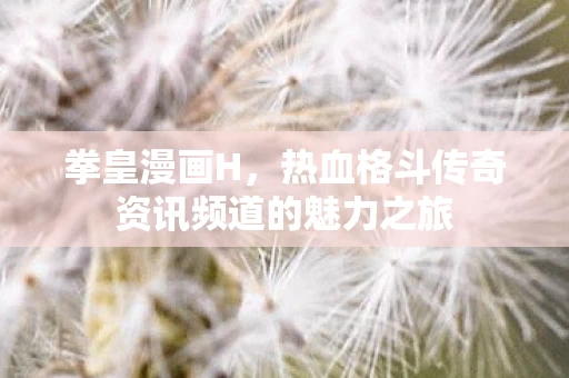 热血格斗传奇资讯频道的魅力之旅图片