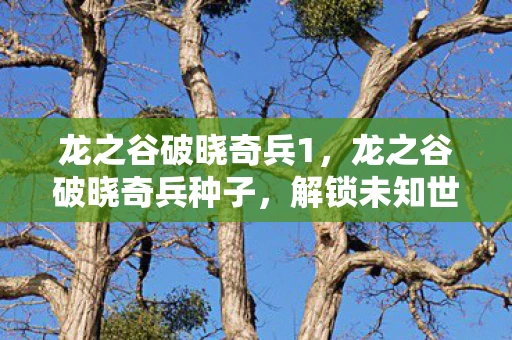 龙之谷破晓奇兵1，龙之谷破晓奇兵种子，解锁未知世界的神秘钥匙