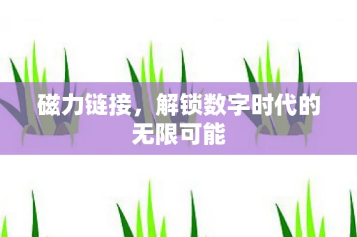 磁力链接，解锁数字时代的无限可能
