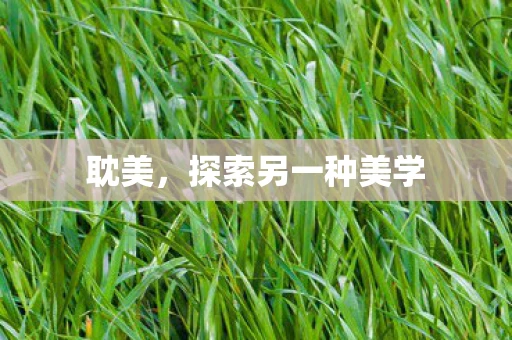 耽美，探索另一种美学