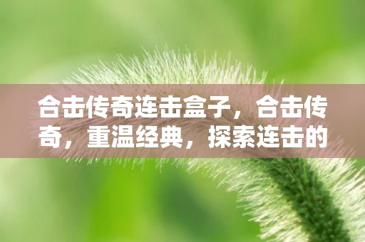 合击传奇连击盒子，合击传奇，重温经典，探索连击的奥秘