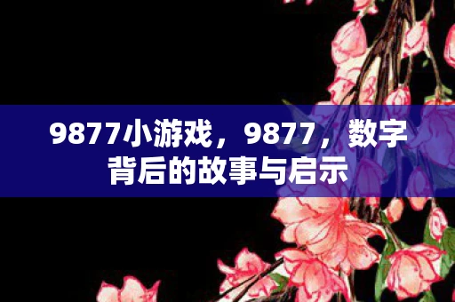9877小游戏，9877，数字背后的故事与启示