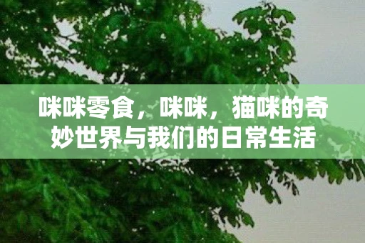 咪咪零食，咪咪，猫咪的奇妙世界与我们的日常生活