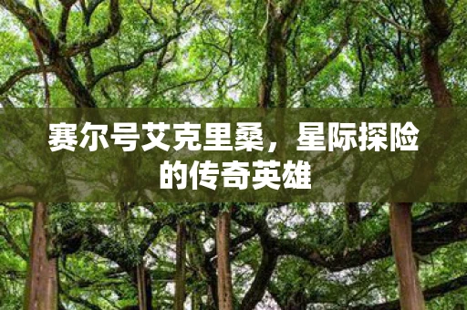 赛尔号艾克里桑，星际探险的传奇英雄