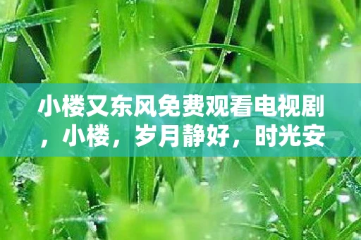 小楼又东风免费观看电视剧,小楼,岁月静好,时光安然 小楼又东风免费观看电视剧,小楼,岁月静好,时光安然