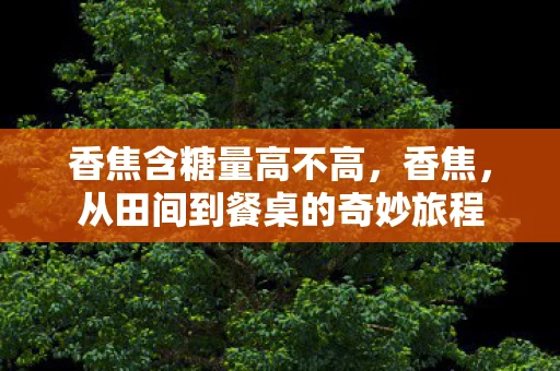 香焦含糖量高不高,香焦,从田间到餐桌的奇妙旅程 香焦含糖量高不高,香焦,从田间到餐桌的奇妙旅程