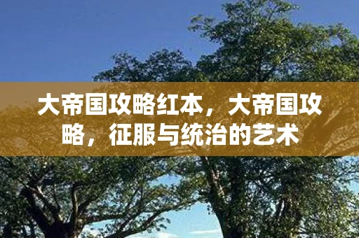 大帝国攻略红本,大帝国攻略,征服与统治的艺术 大帝国攻略红本,大帝国攻略,征服与统治的艺术