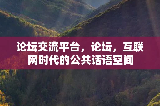 论坛交流平台,论坛,互联网时代的公共话语空间 论坛交流平台,论坛,互联网时代的公共话语空间