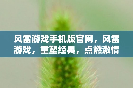 风雷游戏手机版官网，风雷游戏，重塑经典，点燃激情