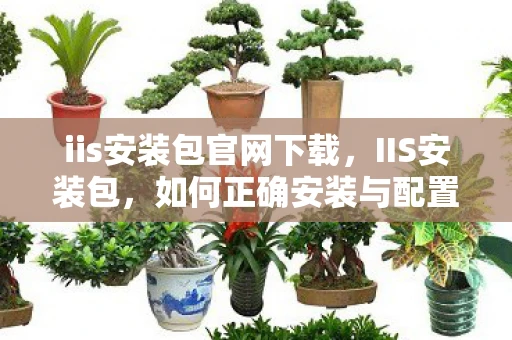 iis安装包官网下载，IIS安装包，如何正确安装与配置IIS