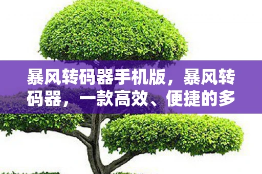 暴风转码器手机版,暴风转码器,一款高效、便捷的多媒体处理工具 暴风转码器手机版,暴风转码器,一款高效、便捷的多媒体处理工具