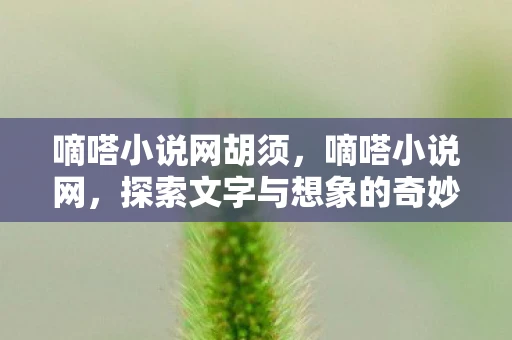 嘀嗒小说网胡须,嘀嗒小说网,探索文字与想象的奇妙之旅 嘀嗒小说网胡须,嘀嗒小说网,探索文字与想象的奇妙之旅