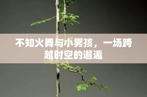 不知火舞与小男孩，一场跨越时空的邂逅