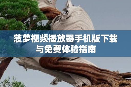 菠萝视频播放器手机版下载与免费体验指南图片