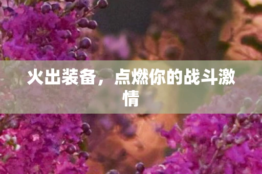 火出装备,点燃你的战斗激情 火出装备,点燃你的战斗激情