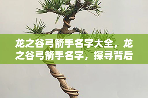 龙之谷弓箭手名字大全,龙之谷弓箭手名字,探寻背后的故事与意义 龙之谷弓箭手名字大全,龙之谷弓箭手名字,探寻背后的故事与意义