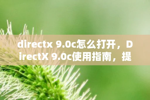 directx 9.0c怎么打开,DirectX 9.0c使用指南,提升游戏与多媒体体验 directx 9.0c怎么打开,DirectX 9.0c使用指南,提升游戏与多媒体体验