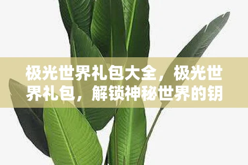 极光世界礼包大全,极光世界礼包,解锁神秘世界的钥匙 极光世界礼包大全,极光世界礼包,解锁神秘世界的钥匙