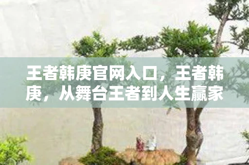 王者韩庚官网入口，王者韩庚，从舞台王者到人生赢家的蜕变