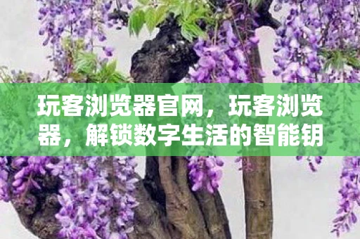 玩客浏览器官网，玩客浏览器，解锁数字生活的智能钥匙