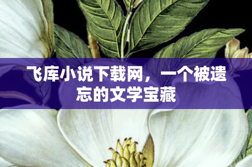 飞库小说下载网,一个被遗忘的文学宝藏 飞库小说下载网,一个被遗忘的文学宝藏