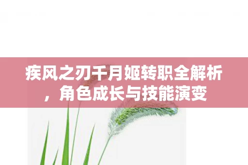 疾风之刃千月姬转职全解析图片