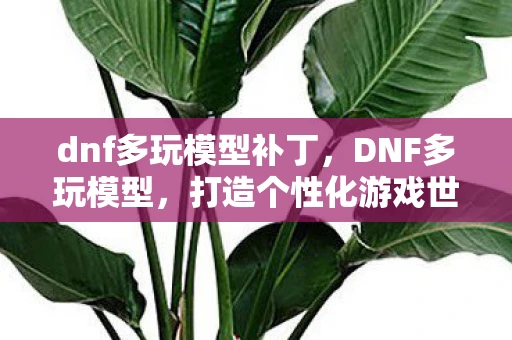 dnf多玩模型补丁,DNF多玩模型,打造个性化游戏世界的艺术 dnf多玩模型补丁,DNF多玩模型,打造个性化游戏世界的艺术