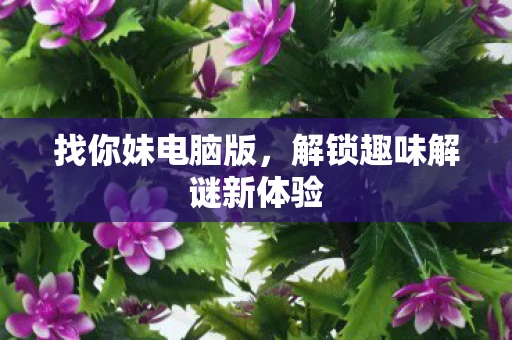 找你妹电脑版,解锁趣味解谜新体验 找你妹电脑版,解锁趣味解谜新体验