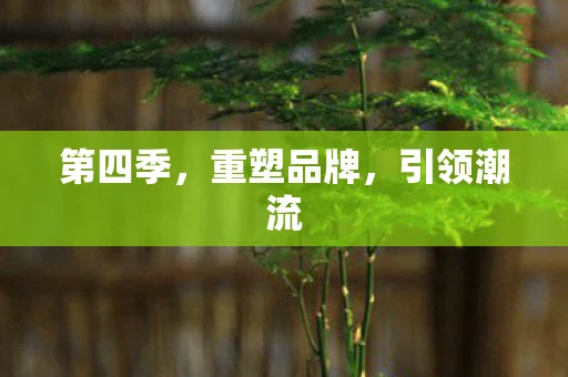 第四季,重塑品牌,引领潮流 第四季,重塑品牌,引领潮流