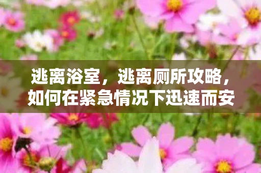 逃离浴室,逃离厕所攻略,如何在紧急情况下迅速而安全地离开厕所 逃离浴室,逃离厕所攻略,如何在紧急情况下迅速而安全地离开厕所