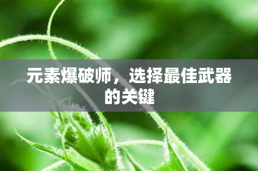 元素爆破师，选择最佳武器的关键