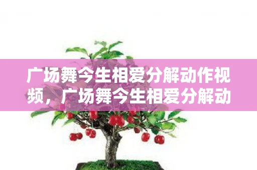 广场舞今生相爱分解动作视频，广场舞今生相爱分解动作教学