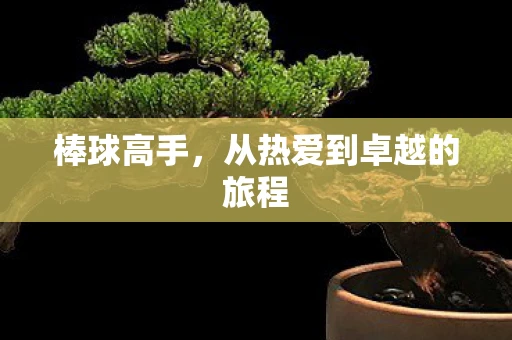 棒球高手，从热爱到卓越的旅程