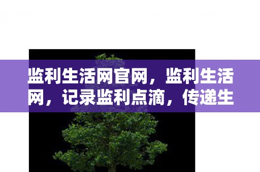 监利生活网官网，监利生活网，记录监利点滴，传递生活温度
