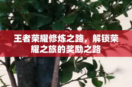 解锁荣耀之旅的奖励之路图片