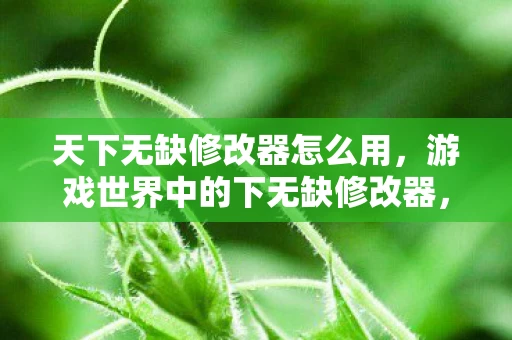 天下无缺修改器怎么用，游戏世界中的下无缺修改器，解锁无限可能的神秘工具