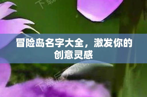 冒险岛名字大全，激发你的创意灵感